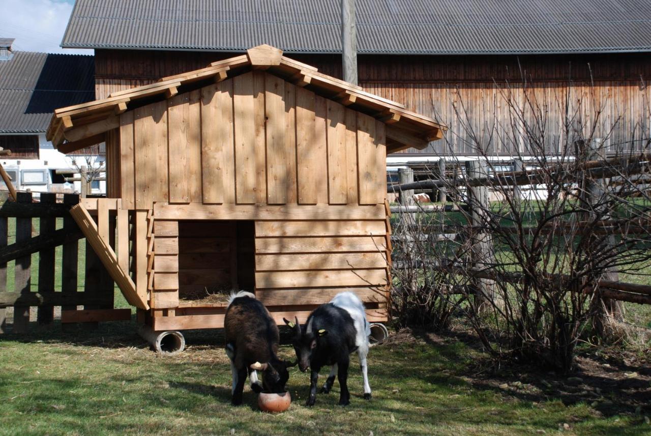 Bio-Bauernhof Samerhof Mariapfarr Exteriör bild