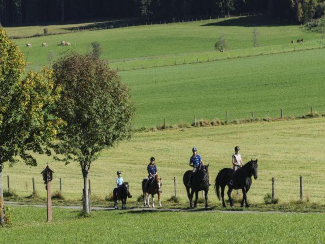 Bio-Bauernhof Samerhof Mariapfarr Exteriör bild